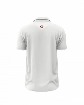 Men's sports polo ALVIS